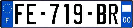 FE-719-BR
