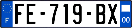 FE-719-BX