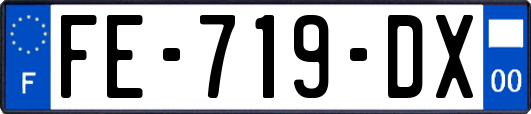 FE-719-DX
