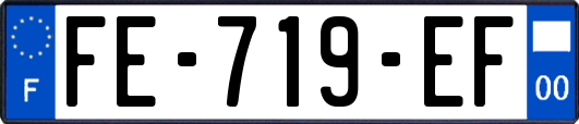 FE-719-EF