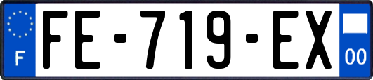 FE-719-EX