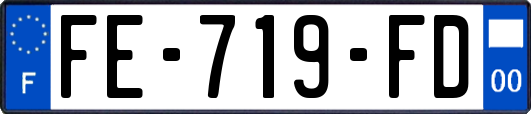 FE-719-FD