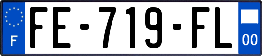 FE-719-FL