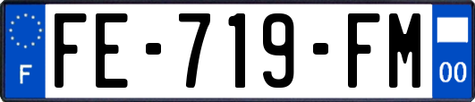 FE-719-FM