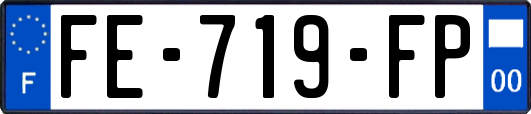 FE-719-FP