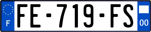 FE-719-FS