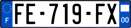 FE-719-FX