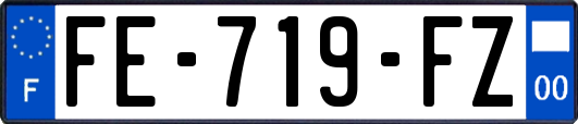 FE-719-FZ