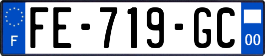 FE-719-GC