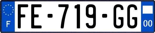 FE-719-GG