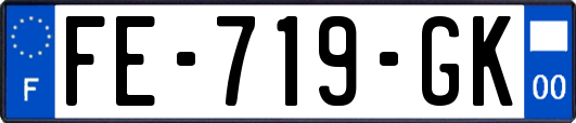 FE-719-GK