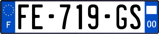 FE-719-GS