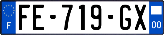 FE-719-GX