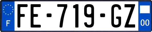 FE-719-GZ