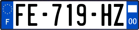 FE-719-HZ
