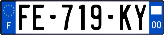 FE-719-KY