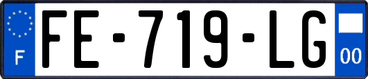 FE-719-LG
