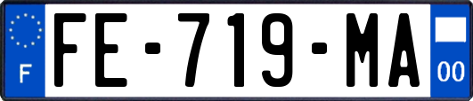 FE-719-MA