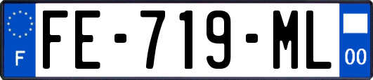 FE-719-ML