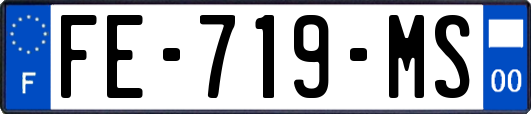 FE-719-MS