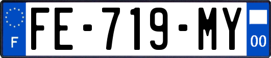 FE-719-MY
