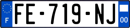 FE-719-NJ