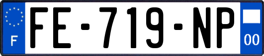 FE-719-NP