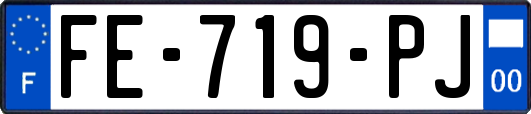 FE-719-PJ