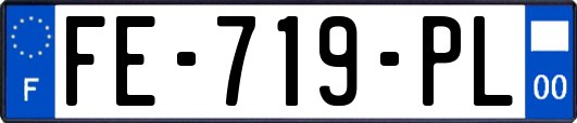 FE-719-PL