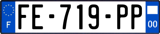 FE-719-PP