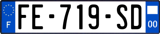 FE-719-SD