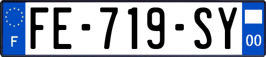 FE-719-SY