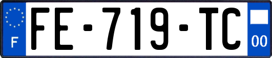 FE-719-TC