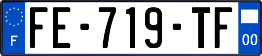 FE-719-TF