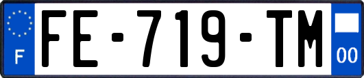 FE-719-TM