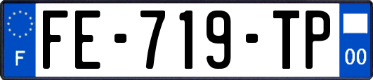 FE-719-TP