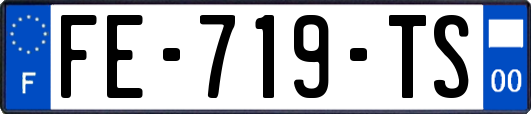 FE-719-TS