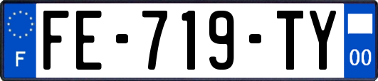 FE-719-TY