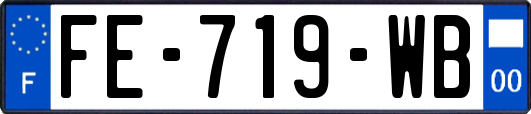 FE-719-WB