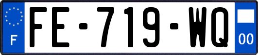 FE-719-WQ