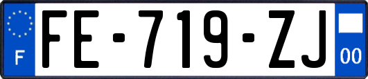 FE-719-ZJ