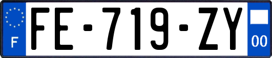 FE-719-ZY