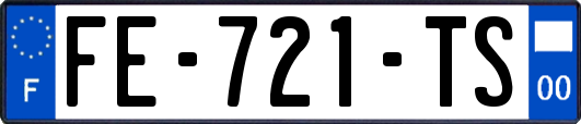 FE-721-TS