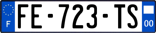 FE-723-TS