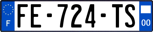 FE-724-TS