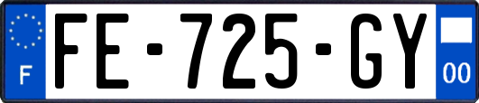 FE-725-GY