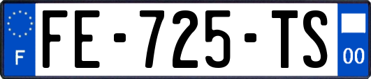 FE-725-TS