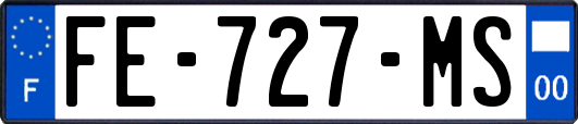 FE-727-MS