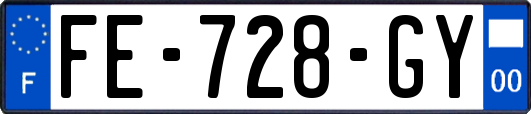 FE-728-GY