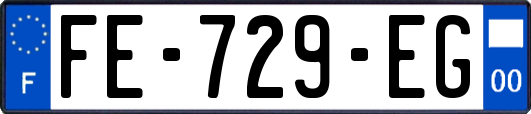 FE-729-EG